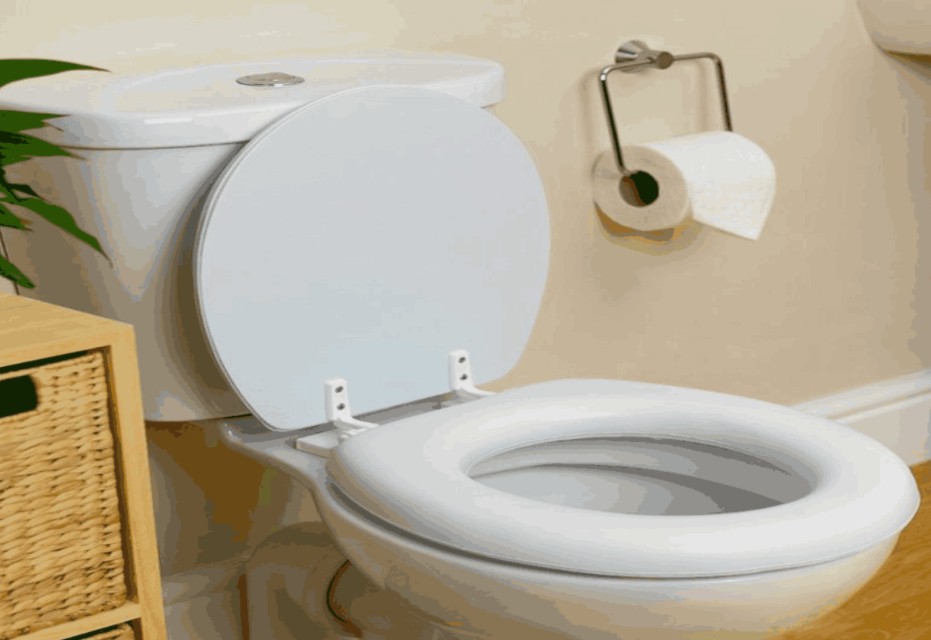 Tips Mengatasi WC Mampet